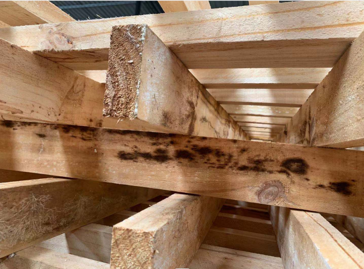 山東防霉劑價格